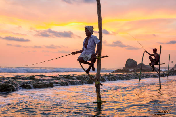 Traditional stilt fishermen in Ahangama, Sri Lanka – cultural fishing experience by the beach