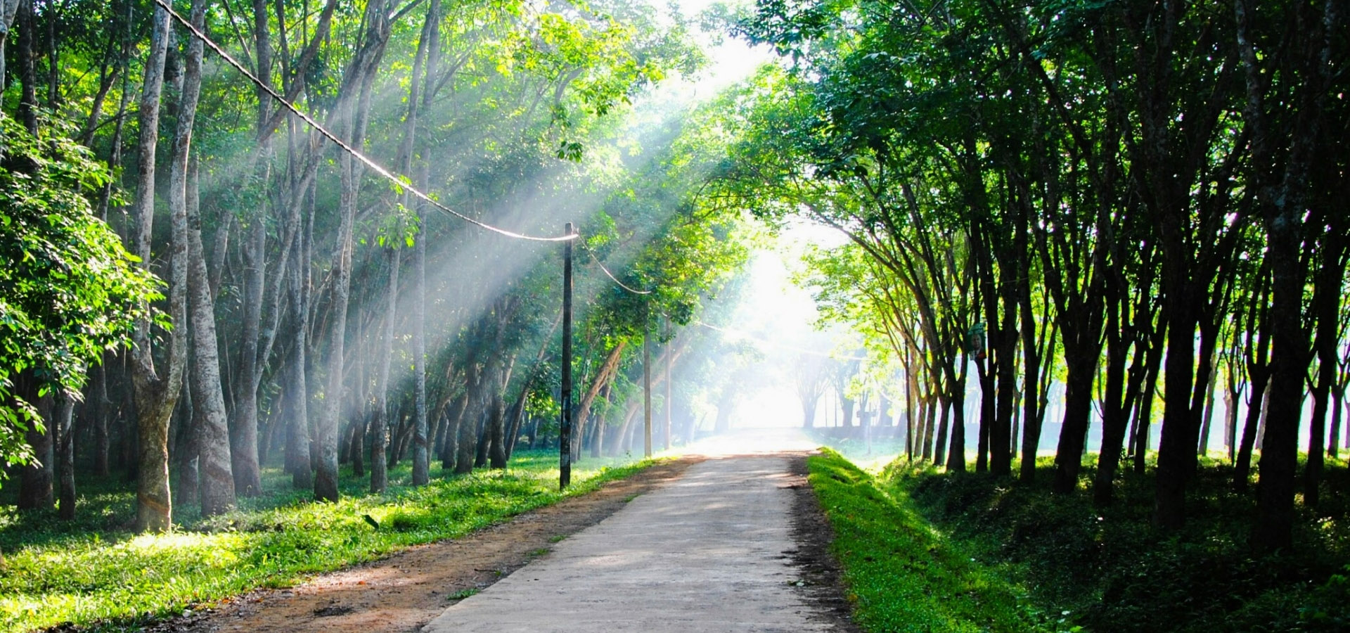 Avissawella is a vibrant town where urban bustle meets lush countryside charm