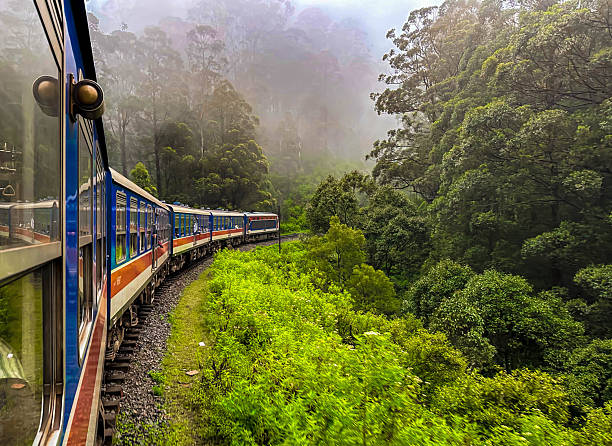 Avissawella is a vibrant town where urban bustle meets lush countryside charm