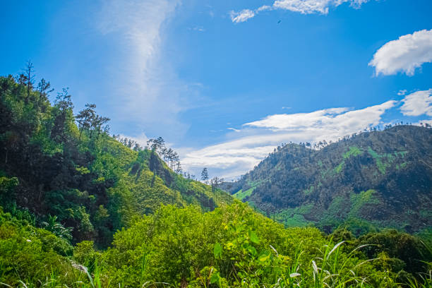 Bandarawela is a picturesque town located in the Badulla District of Sri Lanka